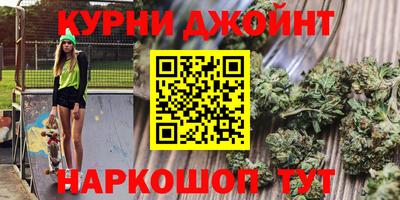 гидра Свободный