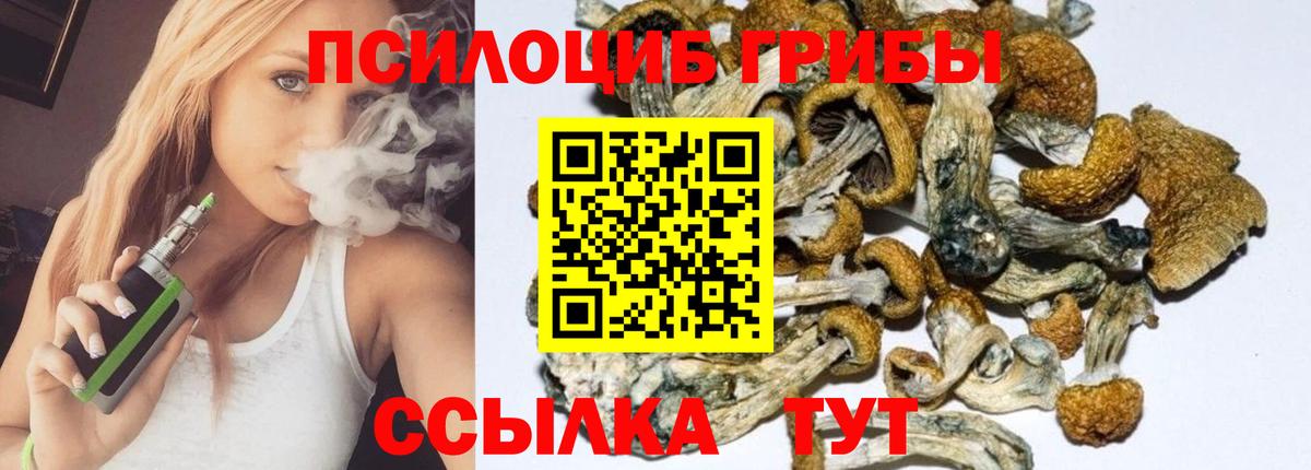 Галлюциногенные грибы прущие грибы  Псилоцибиновые грибы Cubensis  Новочеркасск  Вход с VPN 
